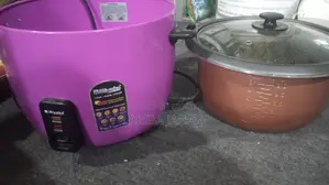 ইলেকট্রিক রাইস কুকার