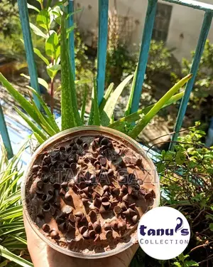 Coklet Tab Cake