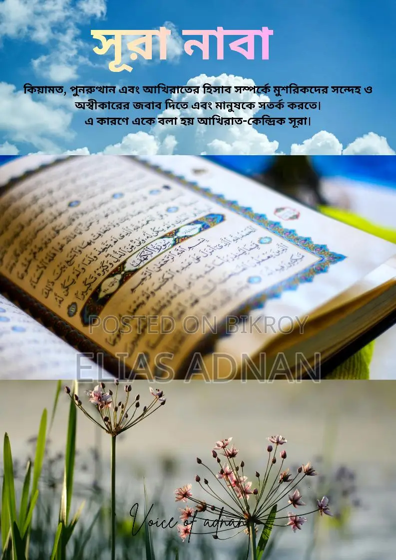 Online Quran Teacher