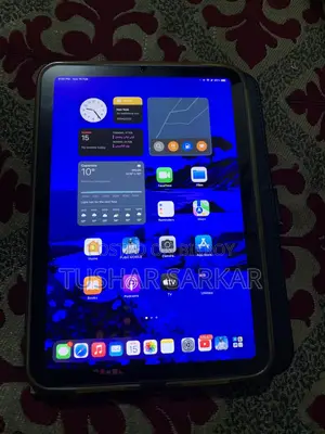 Apple (Used)