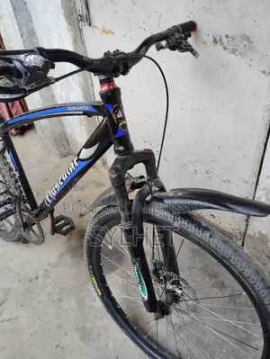Muscular caycle 26