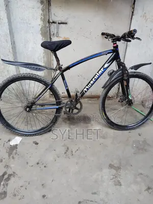 Muscular caycle 26