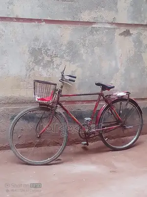 Duranta Bicycle for Sale