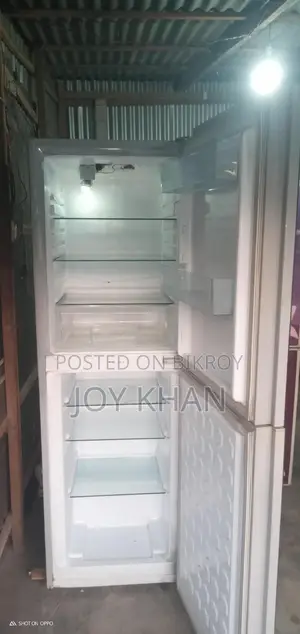 Vision Fridge for Sale
