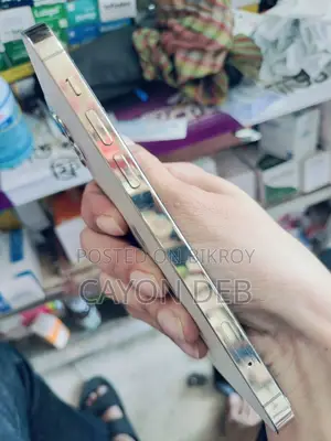 Apple iPhone 12 Pro (Used)