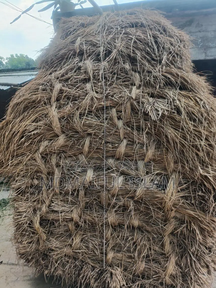 High-Quality Seedlings for Sale