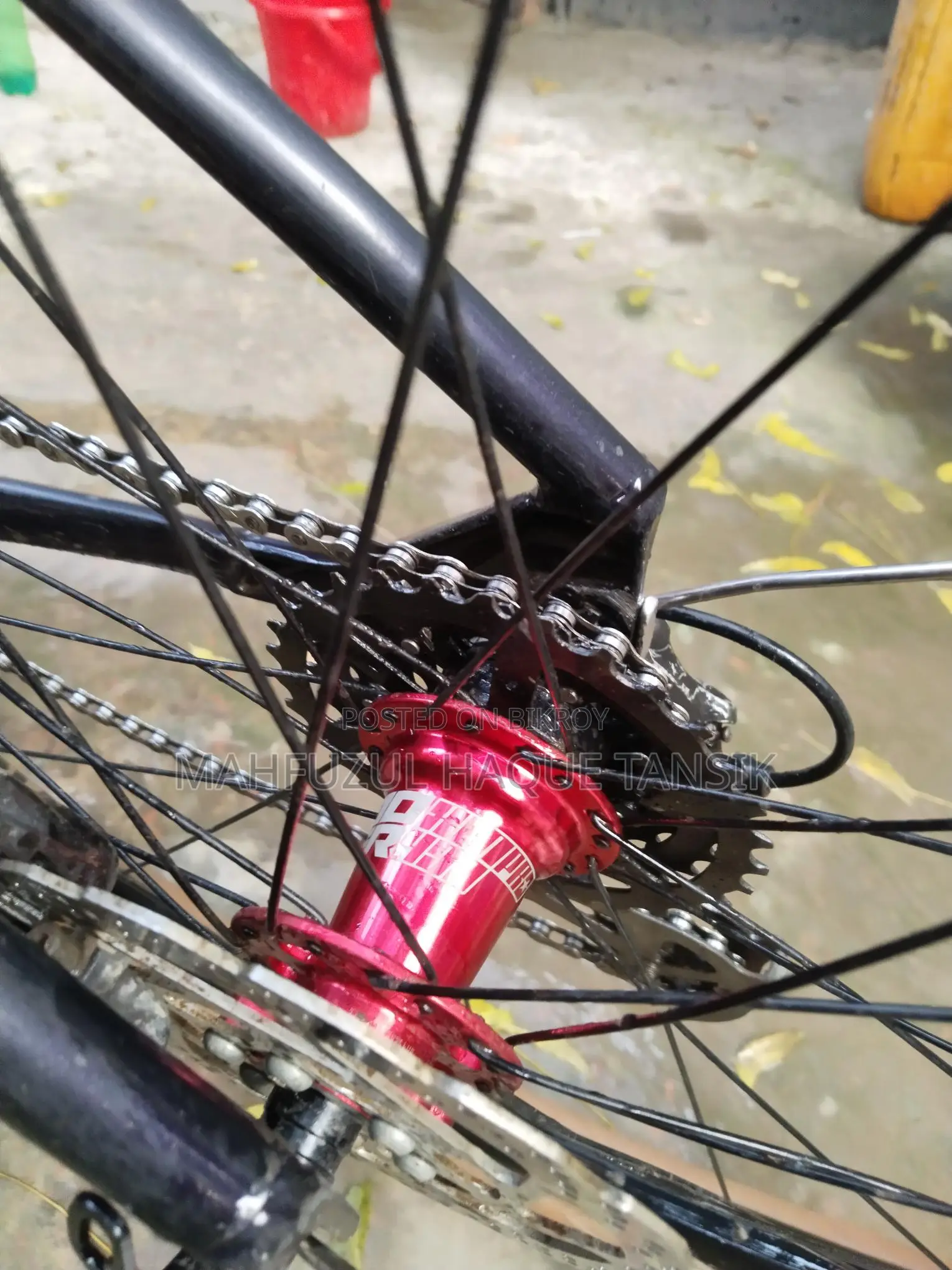 Custom Built Cycle for Sale