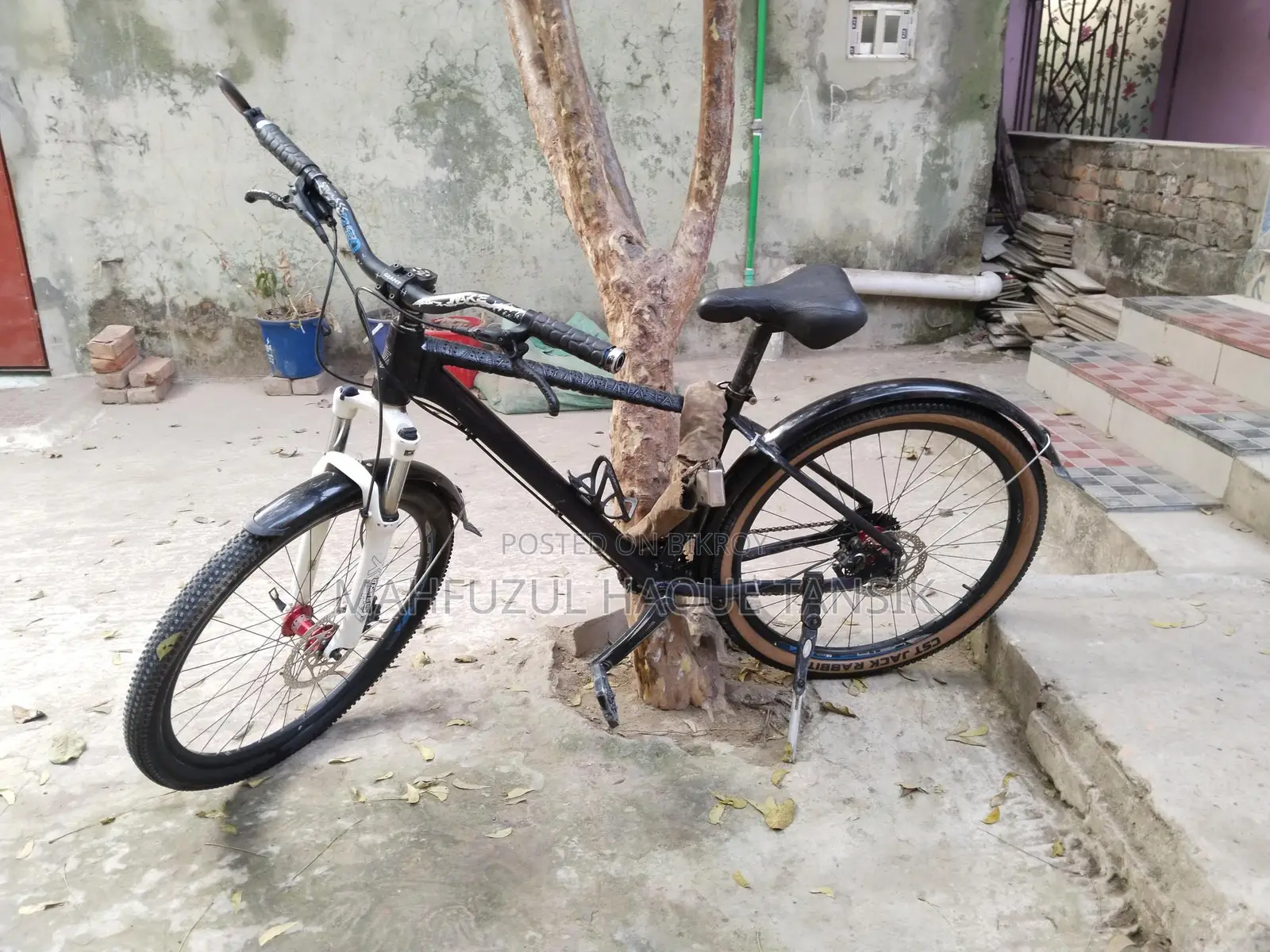 Custom Built Cycle for Sale