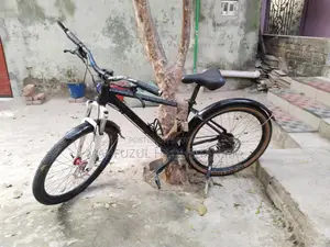 Custom Built Cycle for Sale
