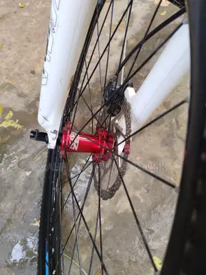 Custom Built Cycle for Sale