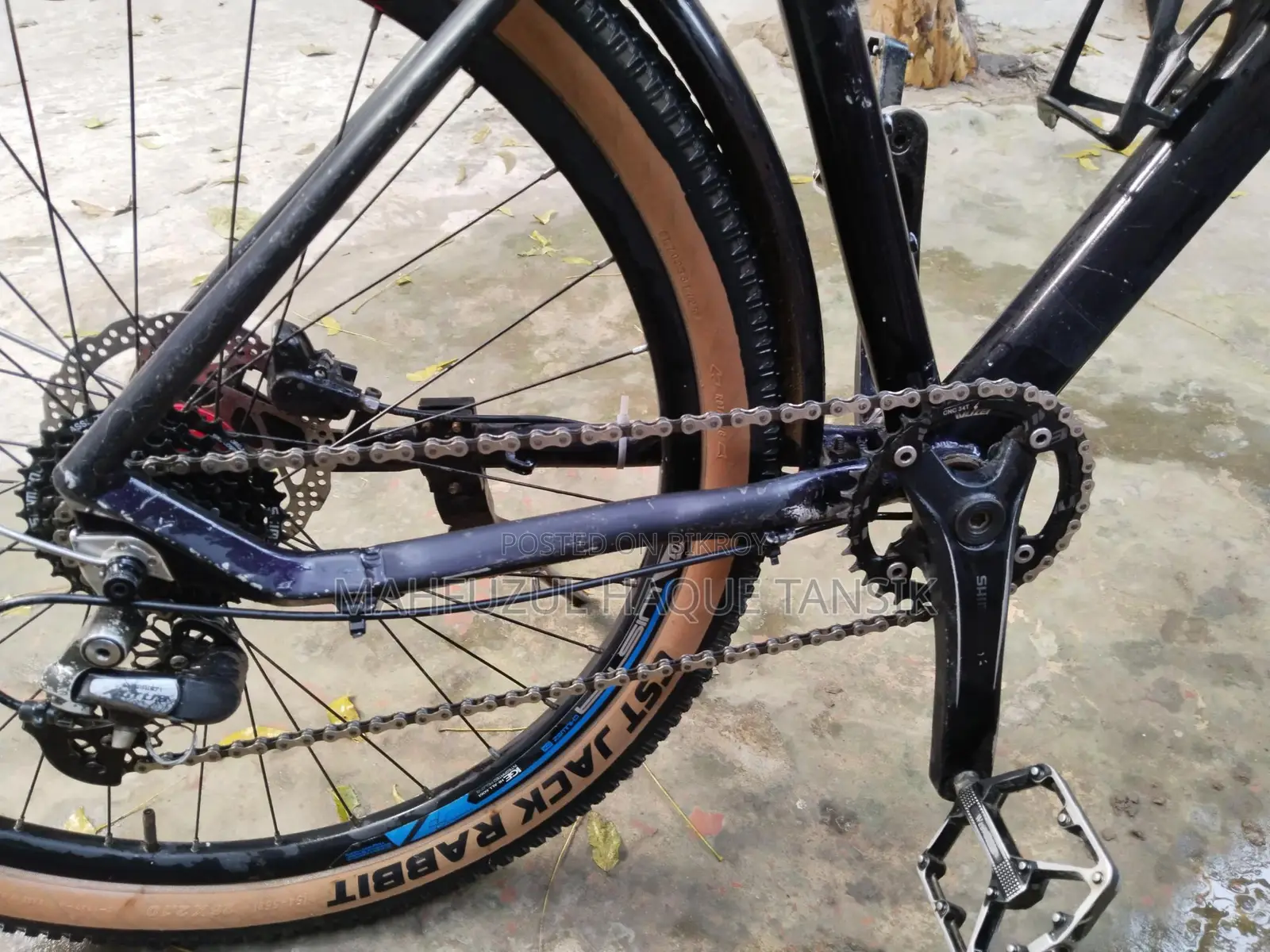 Custom Built Cycle for Sale
