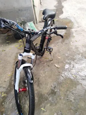 Custom Built Cycle for Sale