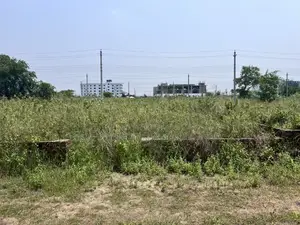 CORNER PLOT⛔️ P EXTENSION⛔️⛔️5 KATHA ⛔️40/40 ft road