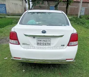 Toyota Axio . 2014
