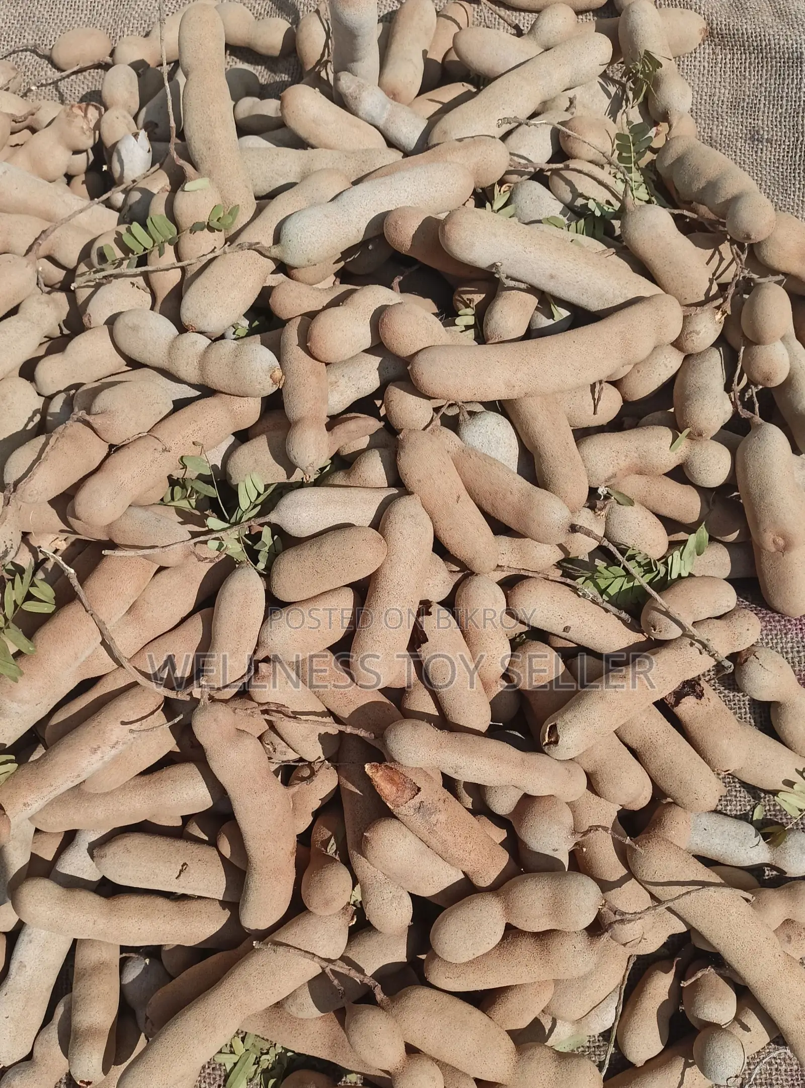 Ripe Tamarind