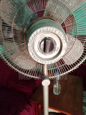 ফেন বিক্রি হবে
