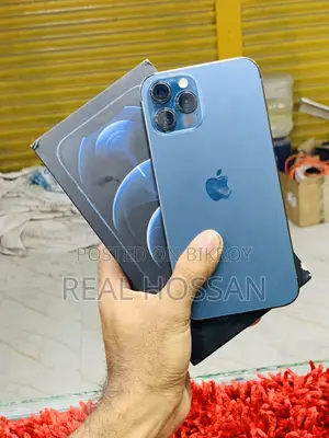 Apple iPhone 12 Pro Max (Used)