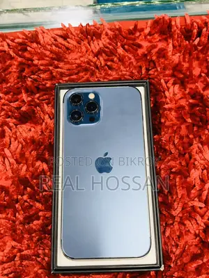 Apple iPhone 12 Pro Max (Used)