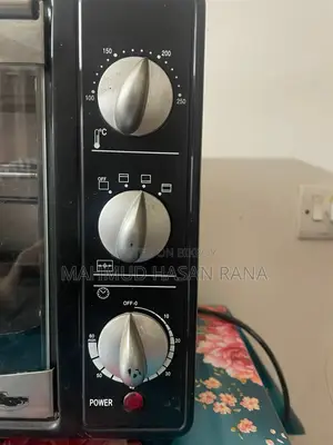 Electronic Oven