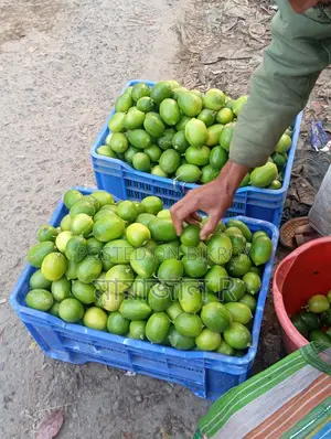 lemon/লেবু