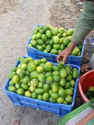 lemon/লেবু