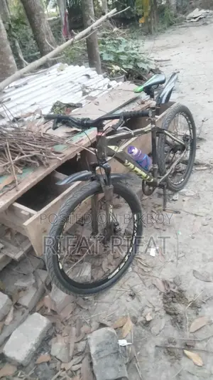Bicycle for sale