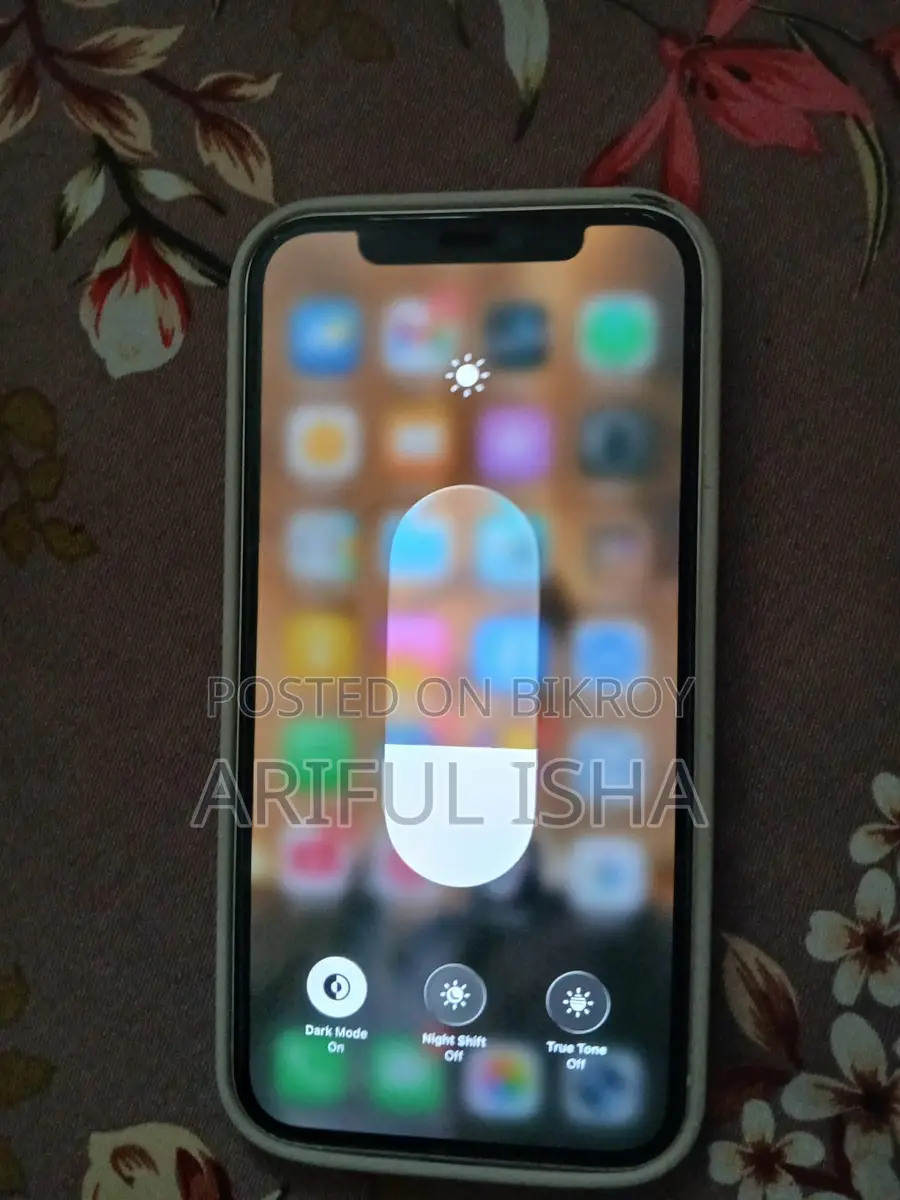 Apple iPhone 12 (Used)