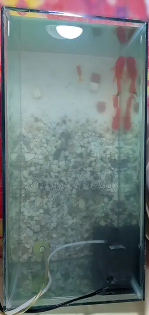 Aquarium Crystal Glass