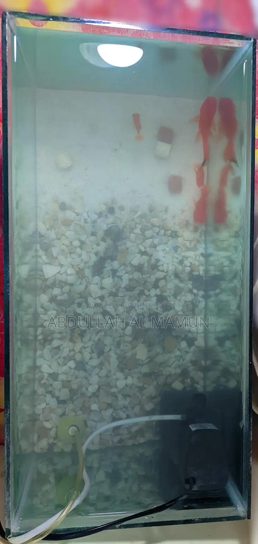 Aquarium Crystal Glass