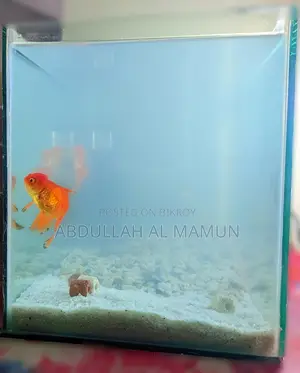 Aquarium Crystal Glass