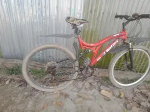 Bicycle for Sale