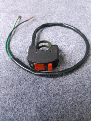 রেড সুইচ_২ কেবল-৬০/-