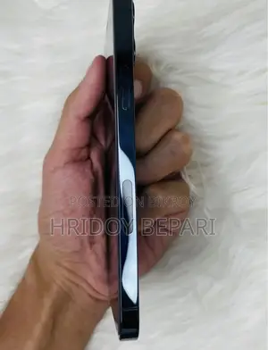 Apple iPhone 12 Pro (Used)