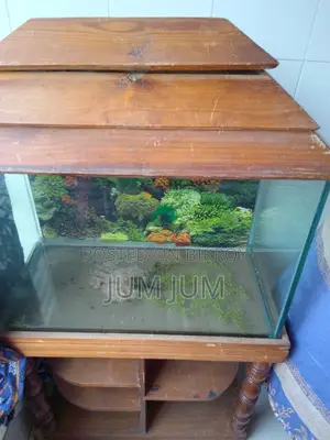 A Large Fish Aquarium