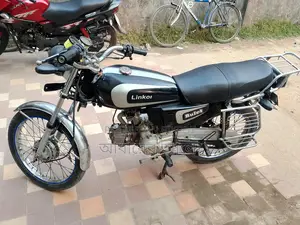 Linkon bike 2011