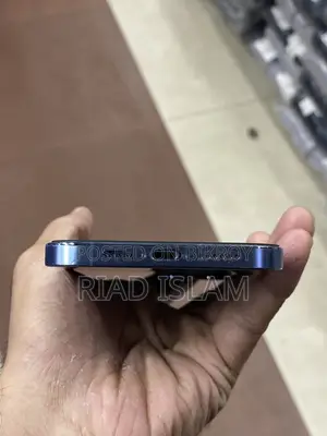Apple iPhone 13 Pro Max (Used)