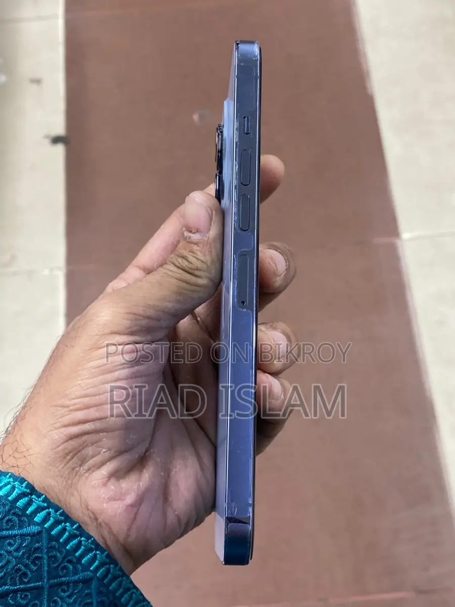 Apple iPhone 13 Pro Max (Used)