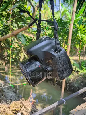 Canon 800d Camera