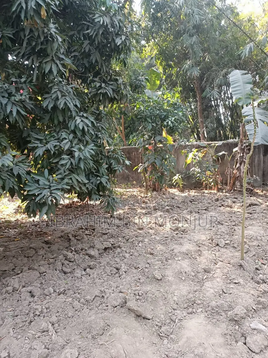 3 Katha Land For Sale
