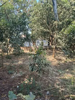 3 Katha Land For Sale