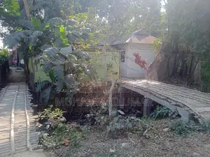 তিন শেড বসত বাড়ি বিক্রি হবে