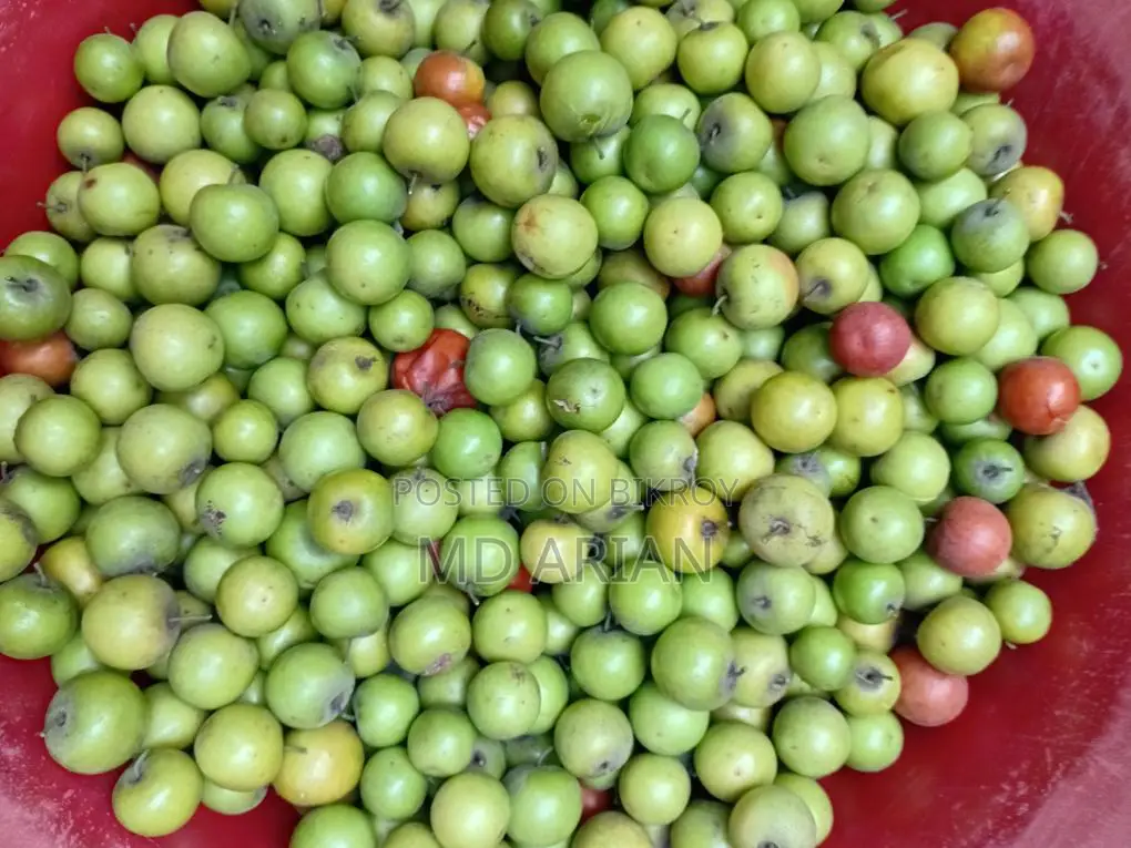 মচমচে, রসালো, একদম বাগান থেকে সরাসরি সংগ্রহ করা টাটকা দেশি বরই!