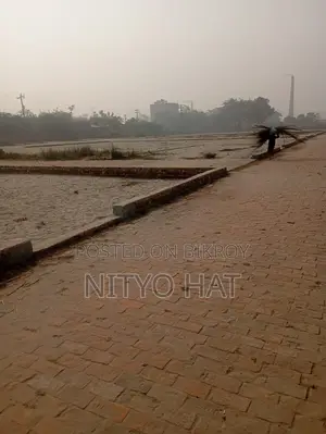 এককালীন মূল্য পরিশোধে প্লট বুঝে নিন—স্বপ্নের ঠিকানা