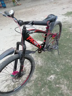 প্রিন্স ভেগাস