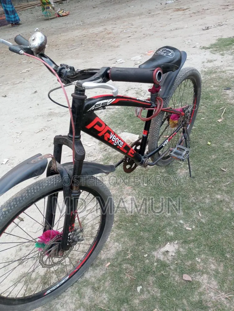 প্রিন্স ভেগাস