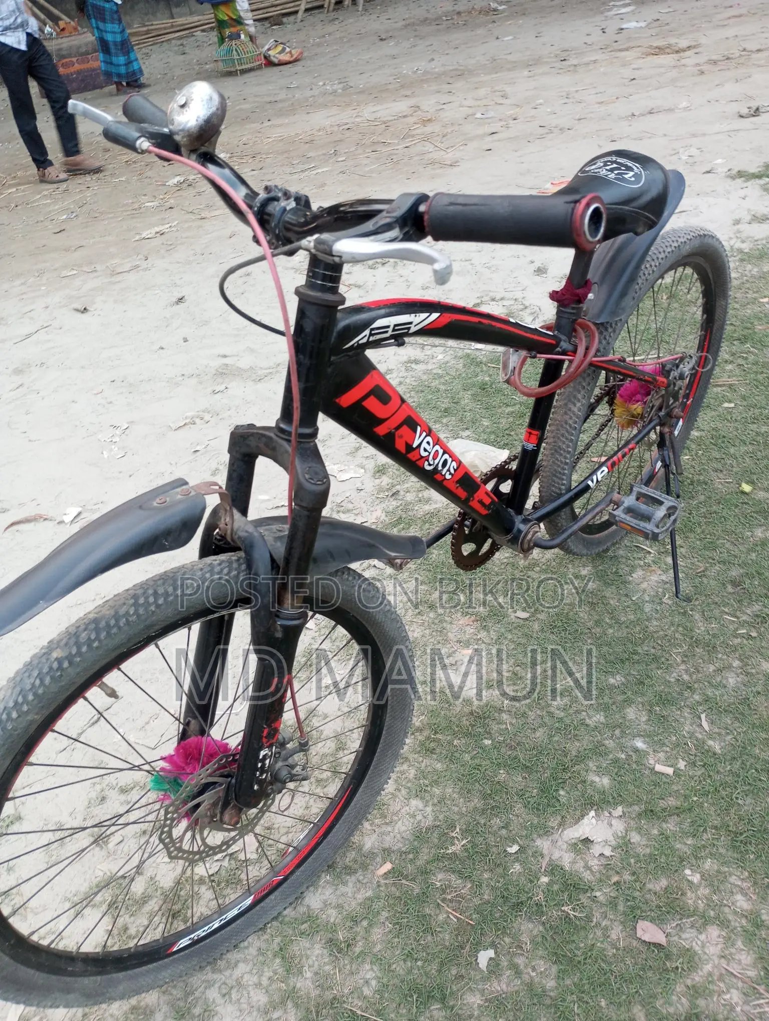 প্রিন্স ভেগাস