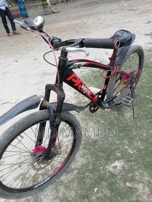 প্রিন্স ভেগাস