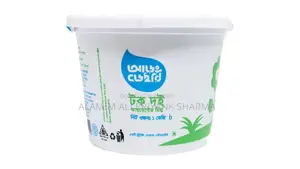 Sour Yogurt (Tok Doi)