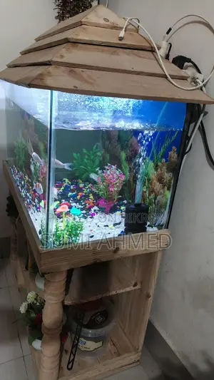Fish Aquarium 3f/1.5f