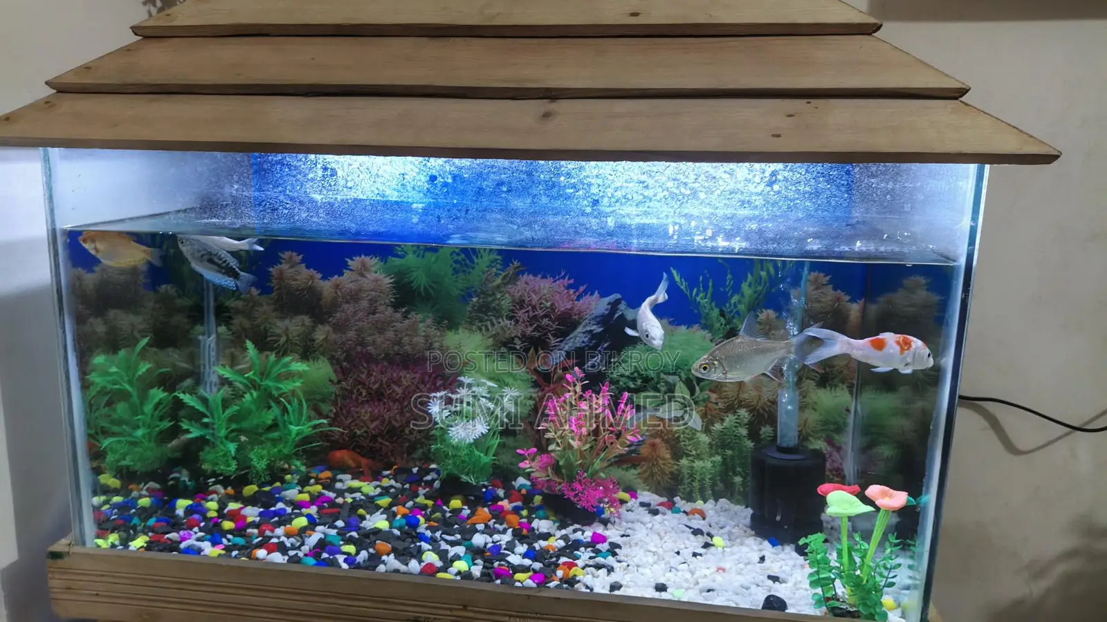 Fish Aquarium 3f/1.5f